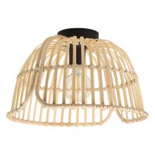 Eglo Canada - Trend 43872A - Glyneath 1L Ceiling Light