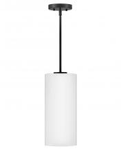 Lark Canada 83377BK-CO - Extra Small Single Light Pendant