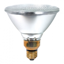 Halogen Bulbs