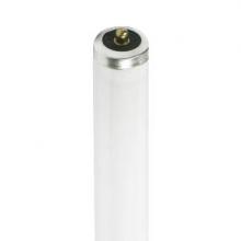 Stanpro (Standard Products Inc.) 13752 - FLUORESCENT LINEAR COLOUR 50 T12 75W 5000K INSTANT START (IS) SINGLE PIN