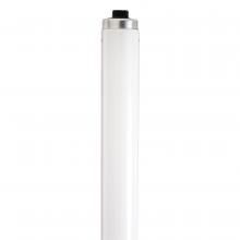 Fluorescent Light Bulbs