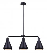 Canarm IPL1020A03BK - Byck 3 Light Pendant, Black Finish