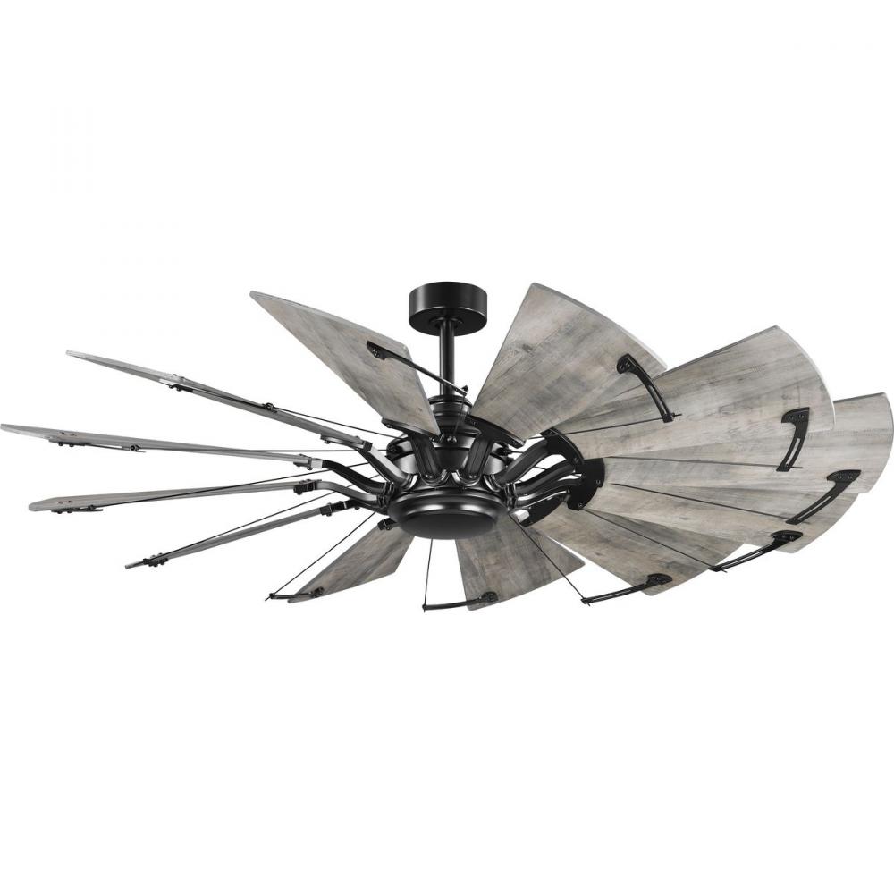 P250000-31M 60IN 12-BLADE CEILING FAN