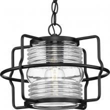 Progress P550134-31M - P550134-31M 1-L HANG LANTERN