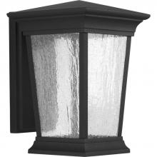 Progress P6068-3130K9 - P6068-3130K9 1-9W  LED WALL LANTERN