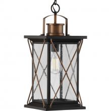 Progress P550068-020 - P550068-020 1-100W MED HANGING LANTERN