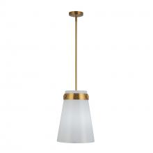 Artcraft AC10640BR - Dahlia 1 Light Pendant 12", Brushed Brass