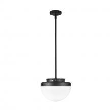 Artcraft AC12010BK - Dahlia 1 Light Pendant 12", Black