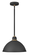 Hinkley Canada 10685TK - Large Convertible Pendant Barn Light