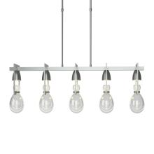 Hubbardton Forge - Canada 137810-SKT-LONG-82-ZM0572 - Apothecary Pendant