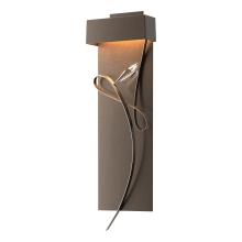 Hubbardton Forge - Canada 205440-LED-05-05-CR - Rhapsody LED Sconce