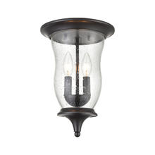 ELK Home 8002FM/75 - Thomas - Trinity 9'' Wide 2-Light Outdoor Flush Mount - Oil Rubbed Bronze